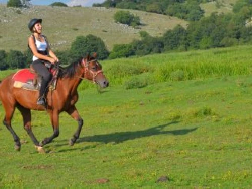 Equitazione