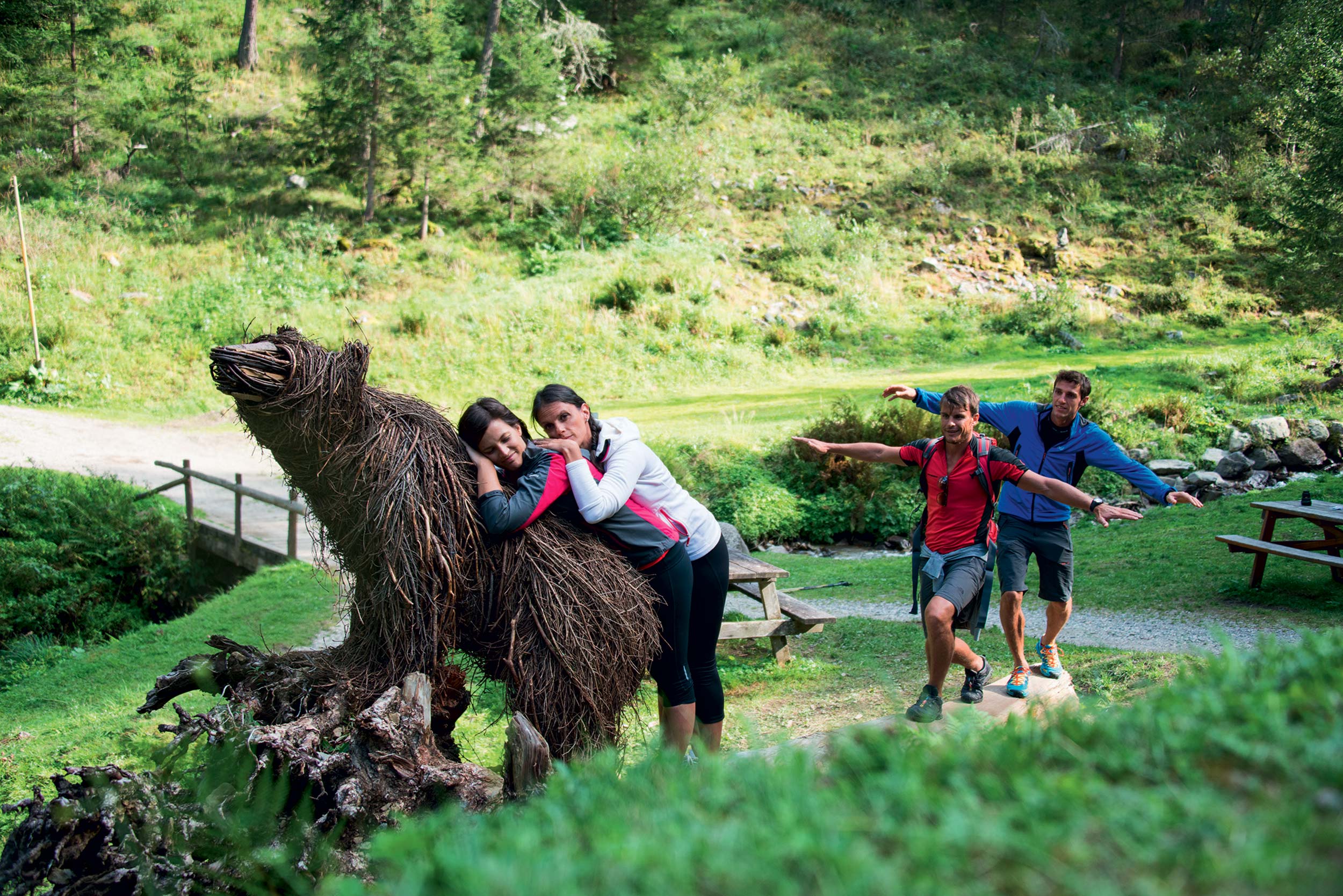 Situazione dell’orso in Trentino: buone pratiche per vivere in sicurezza la natura