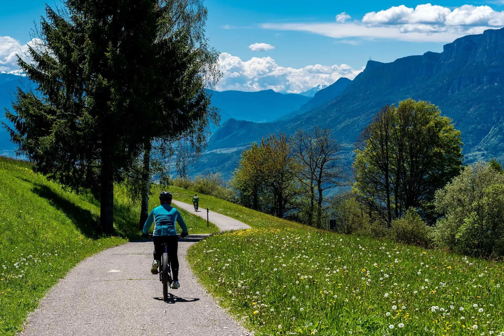 bike-4355500_1920