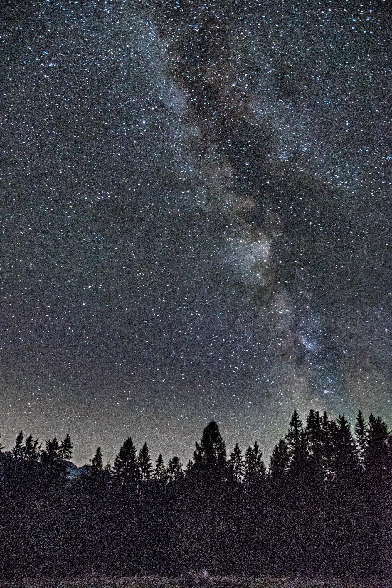 Turismo astronomico Astrotrekking Malga del Doss