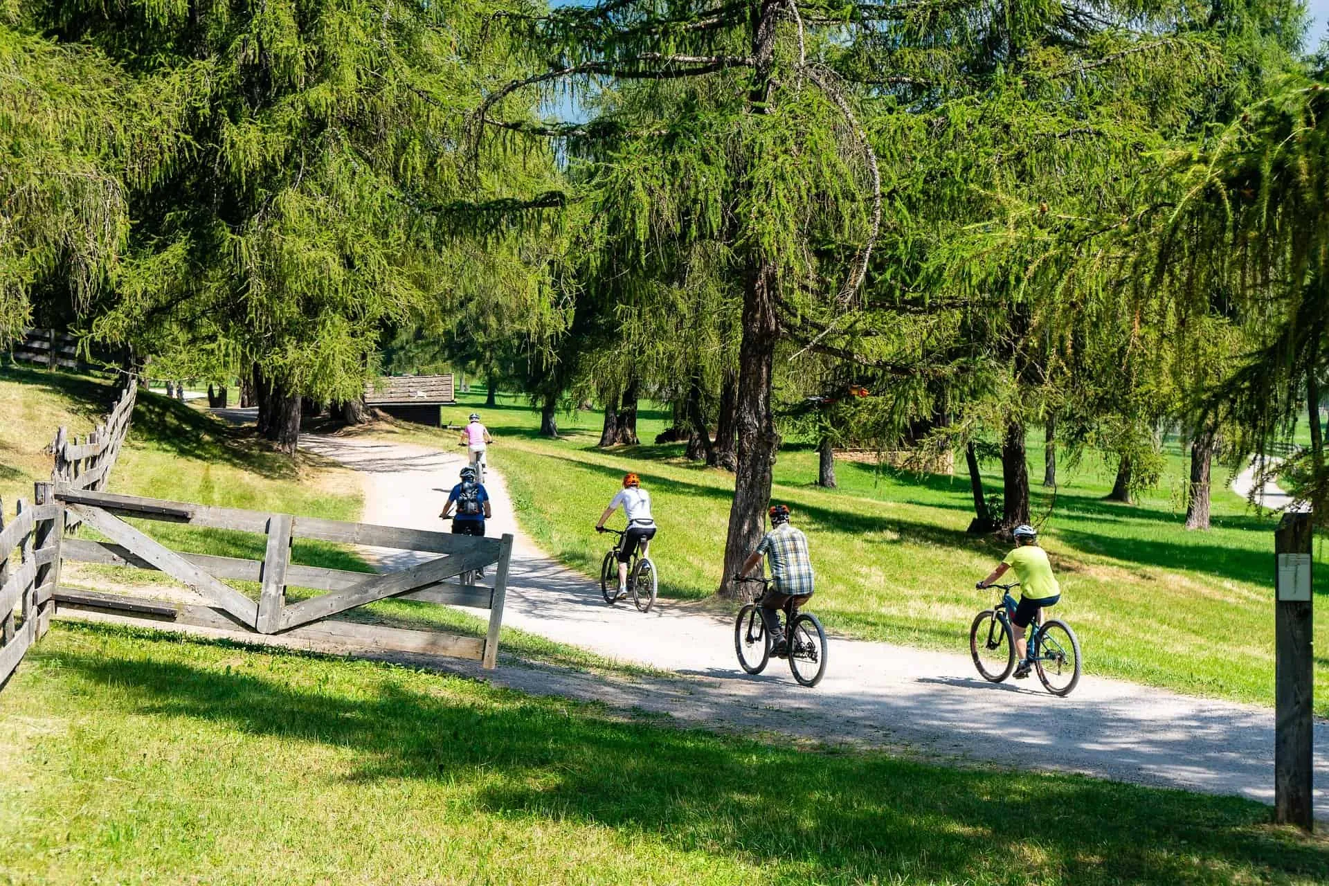 Noleggio e-bike in Val di Sole