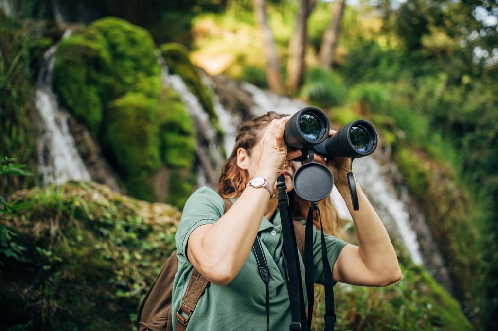 Osserva gli animali selvatici in ambiente naturale