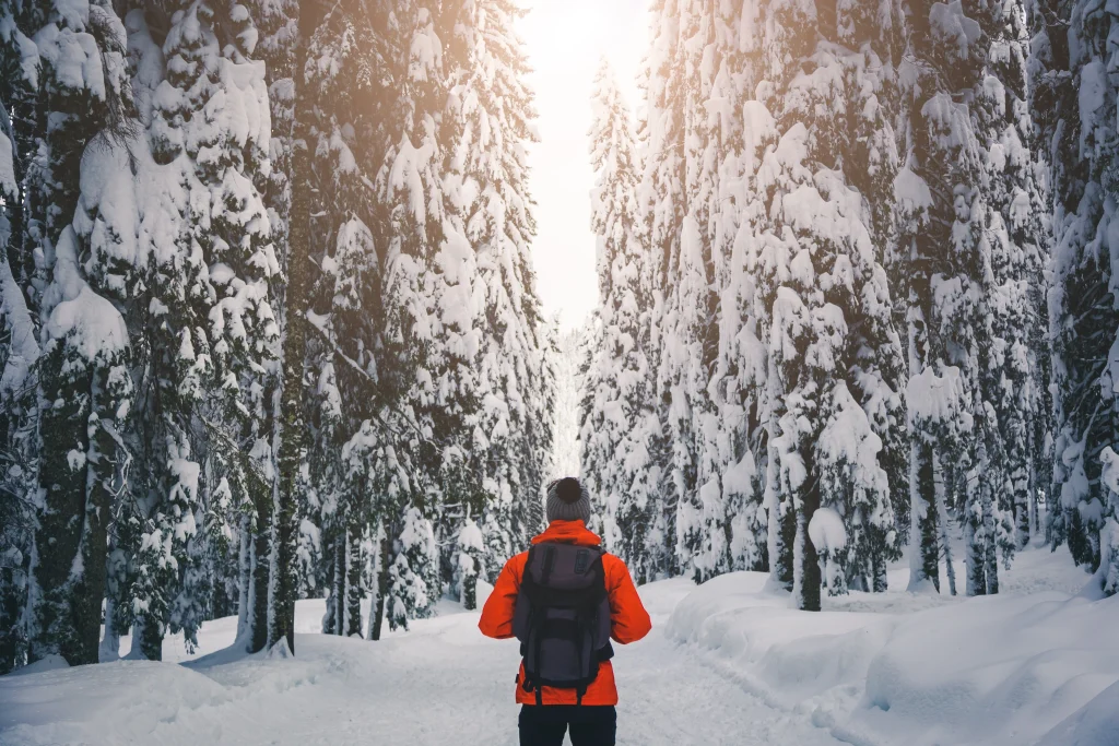 Esperienze outdoor invernali in Val di Sole