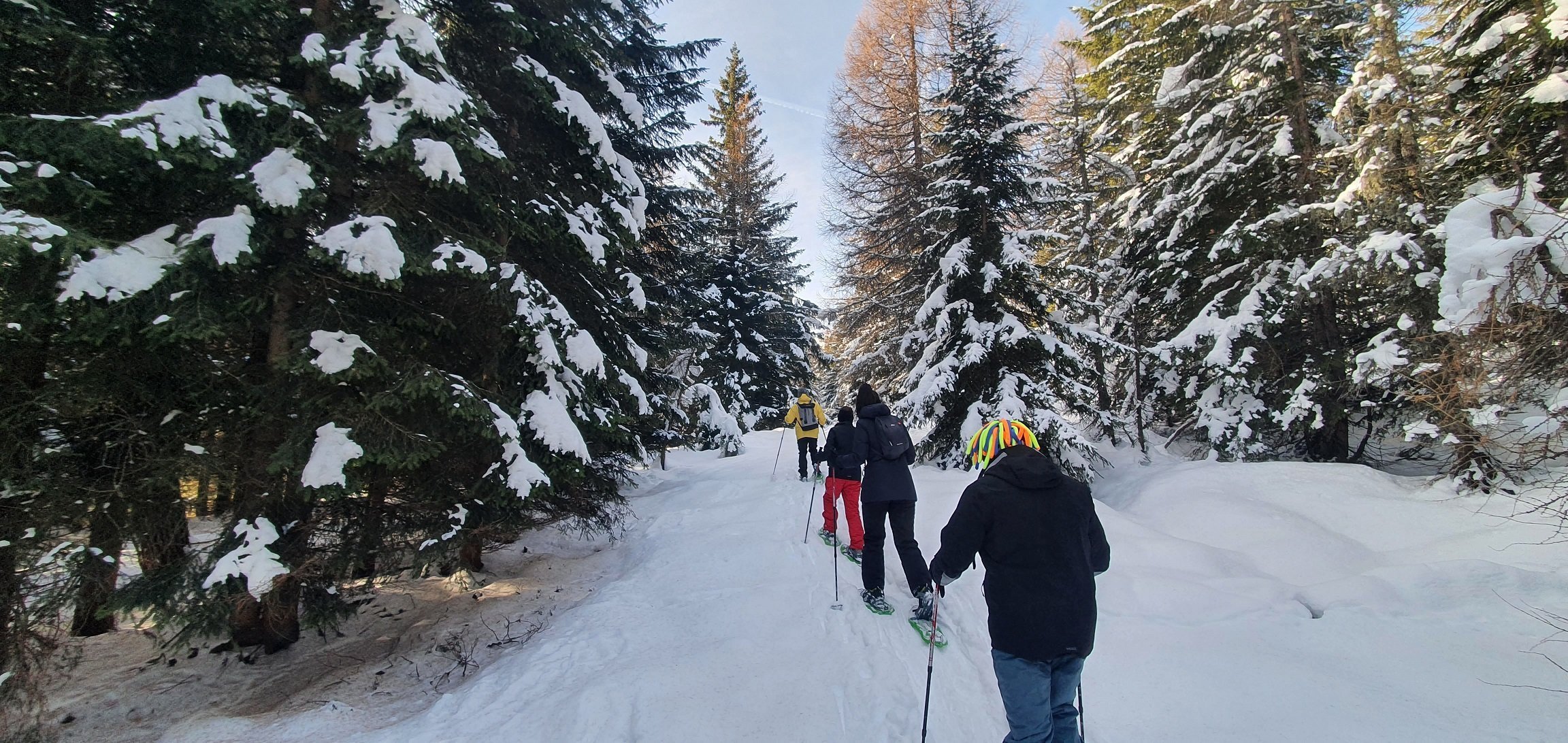 Passeggiate nella neve in Trentino