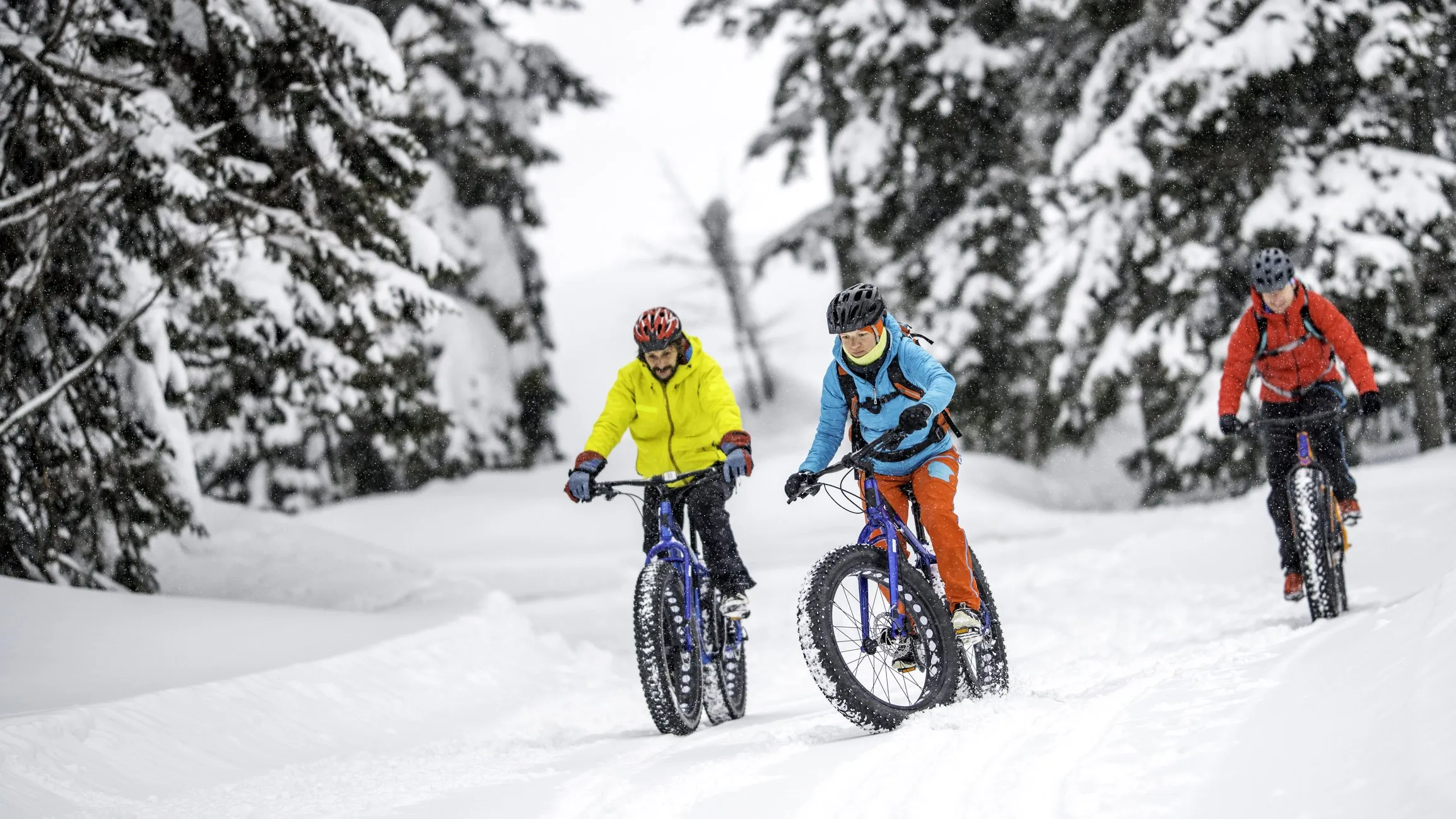 Winter e-bike, sulla neve del Trentino