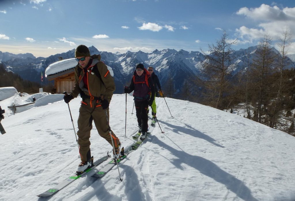 Ski alp in Trentino, Val di Sole