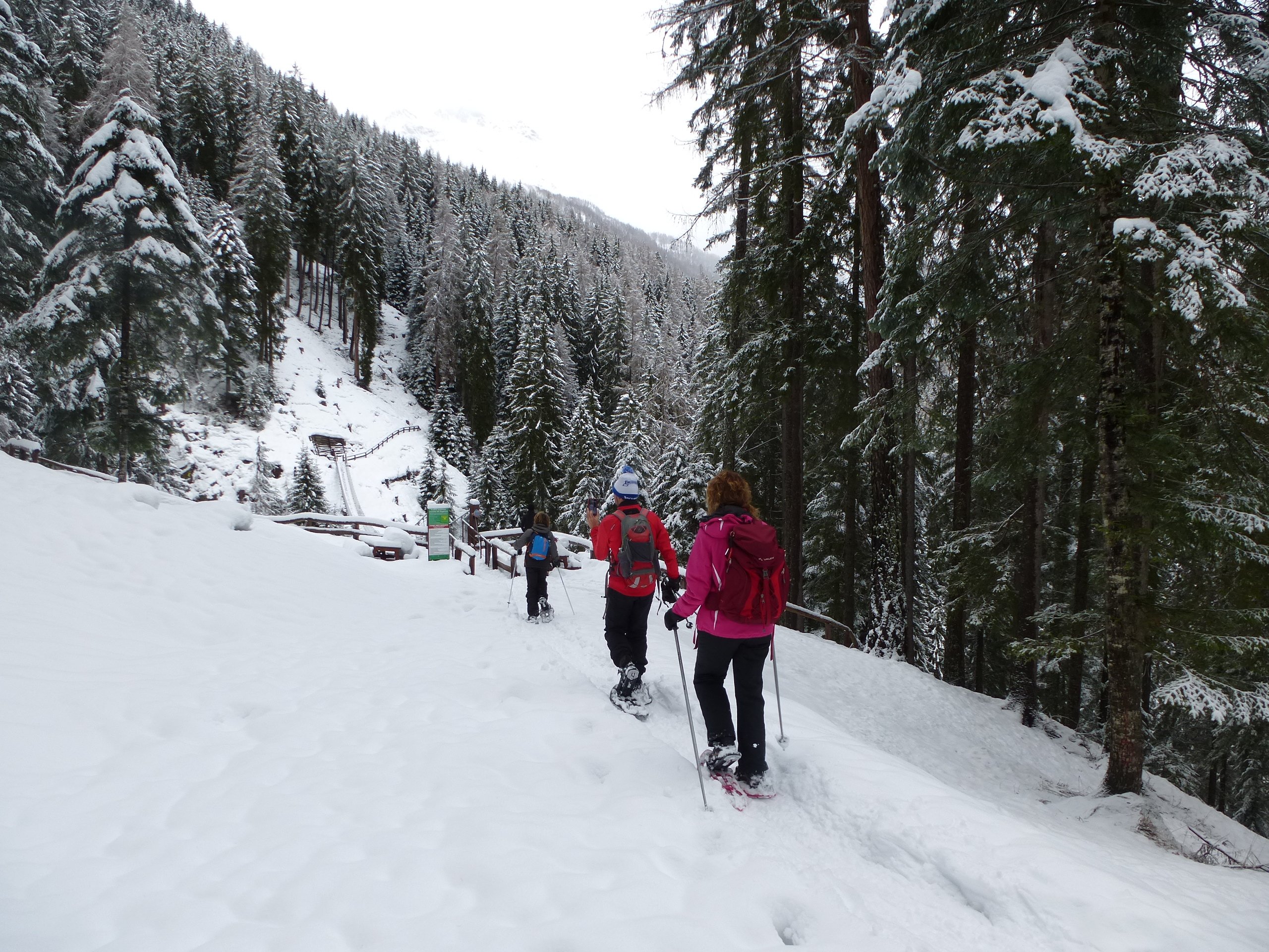 Tour Ciaspole Trentino Tour Ciaspole Trentino