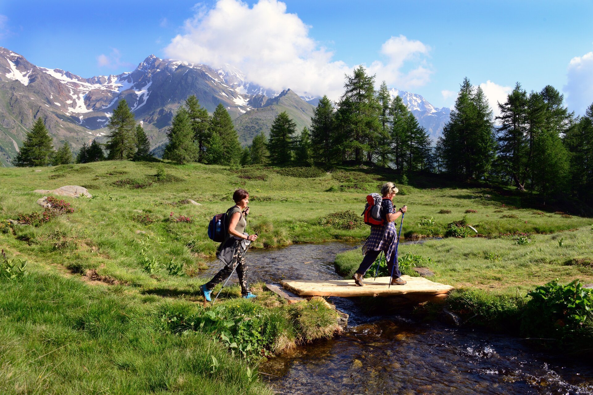 Val di Peio Campo di Comasine Ph G.Bernardi