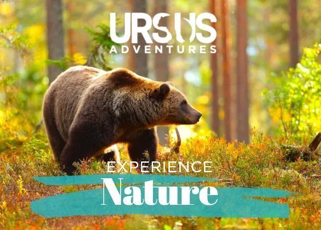 Brochure Ursus Adventures
