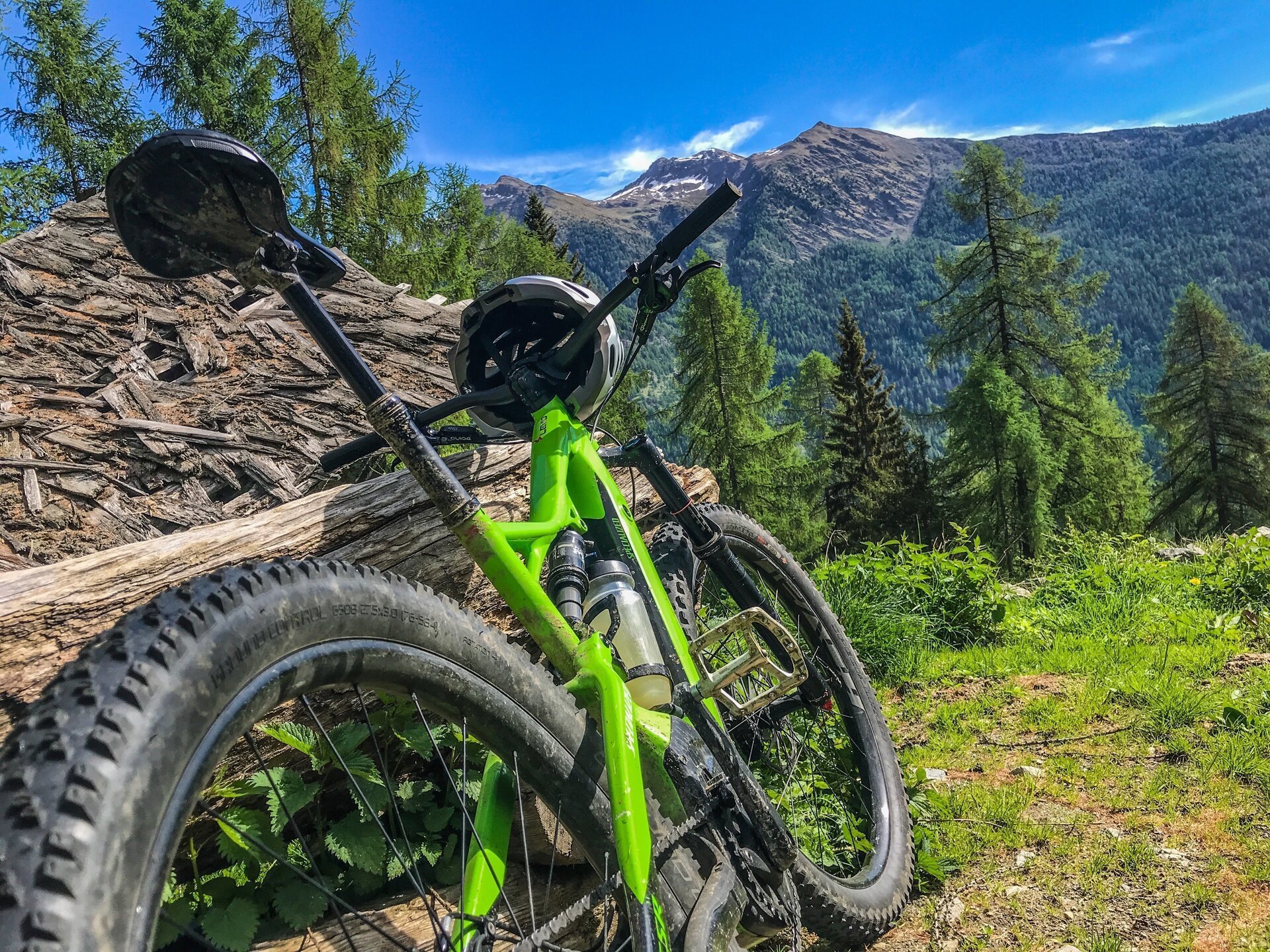 Ursus Adventures Bike in Val di Sole
