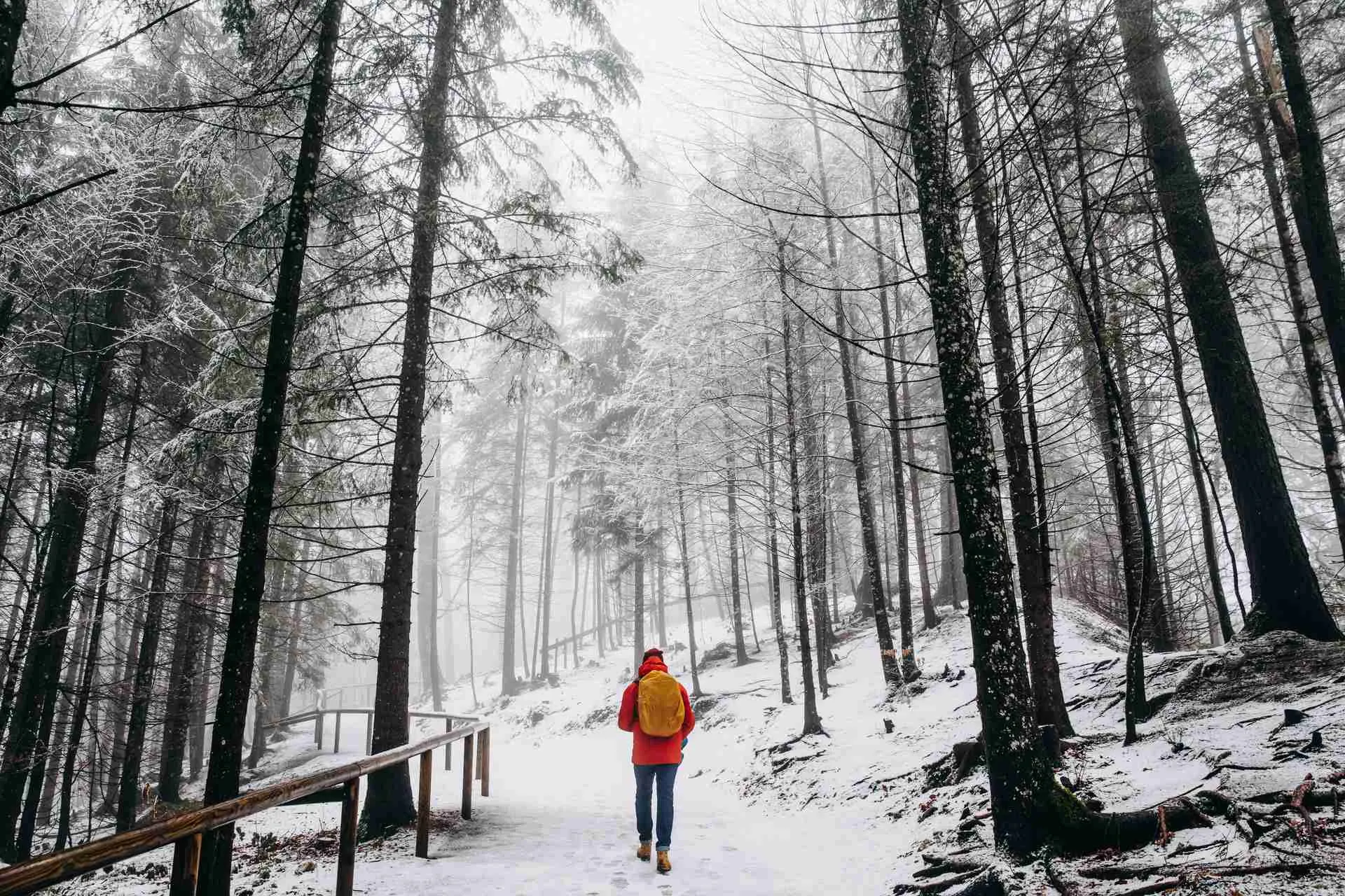 Inverno in Val di Sole