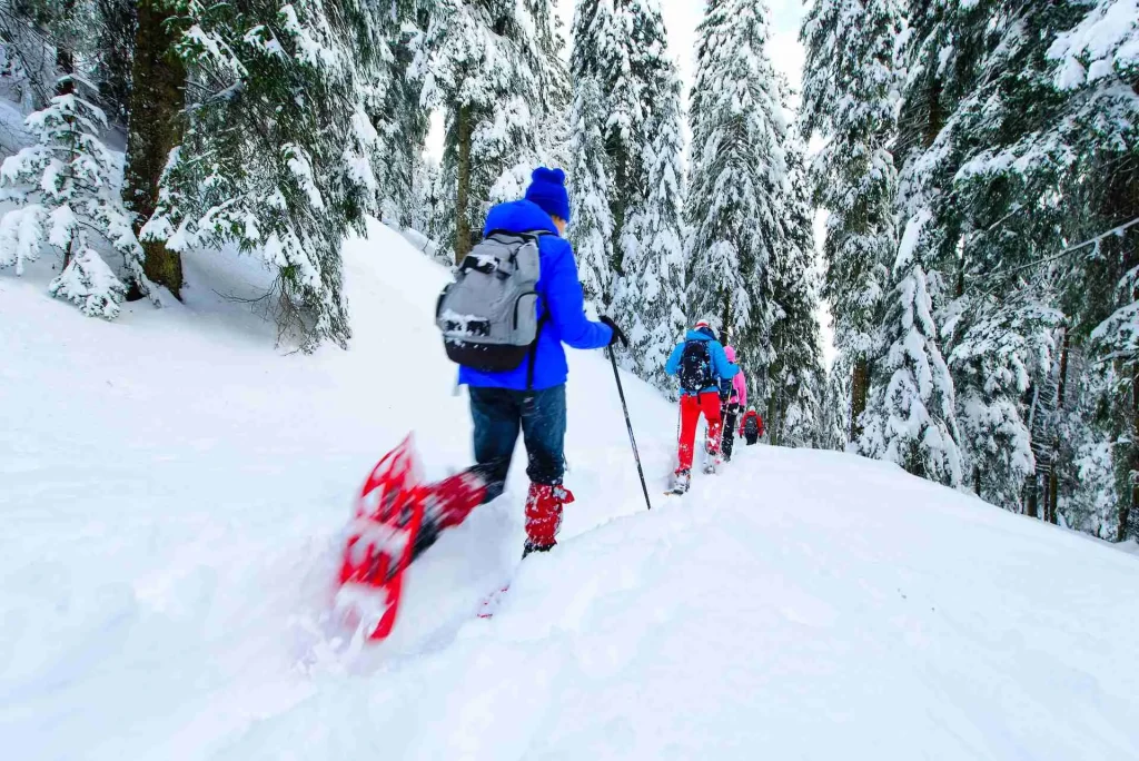 Snow walking in Val di Sole