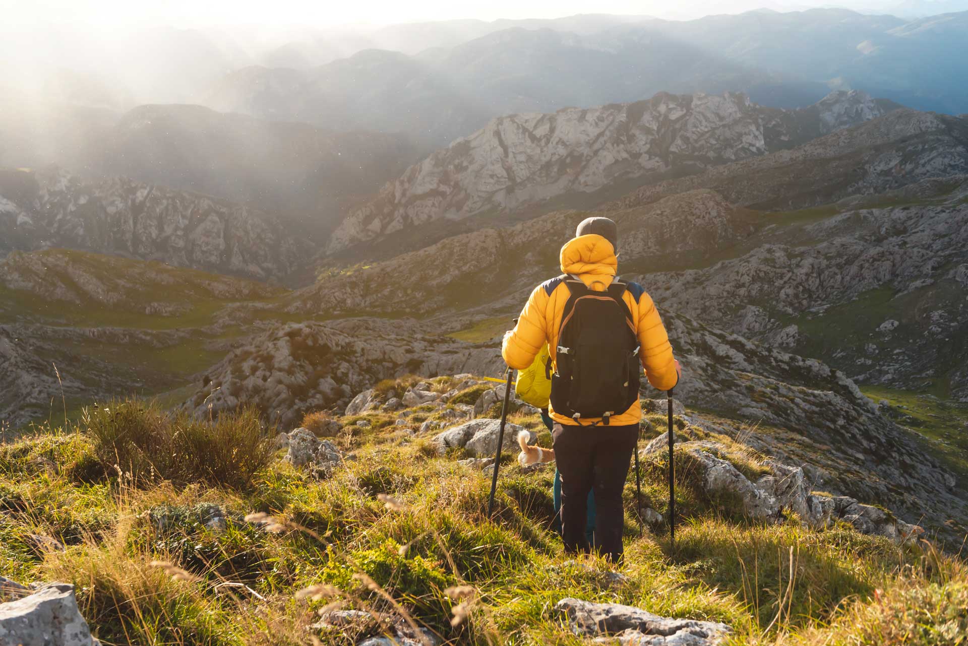 Sci alpinismo