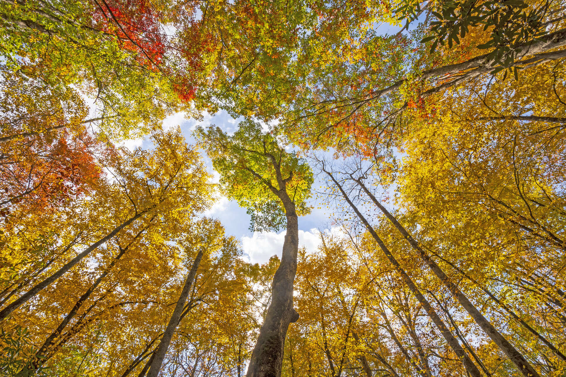 Esperienze Outdoor In Autunno In Val Di Sole