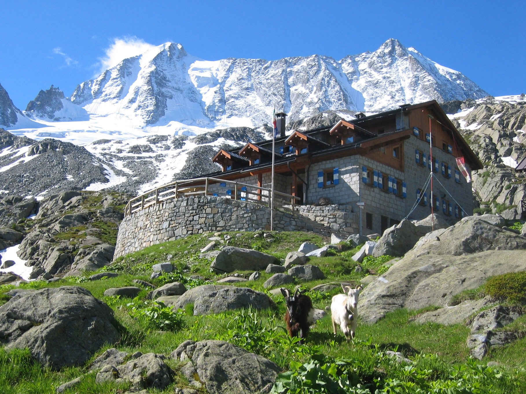 Rifugio Denza con capre