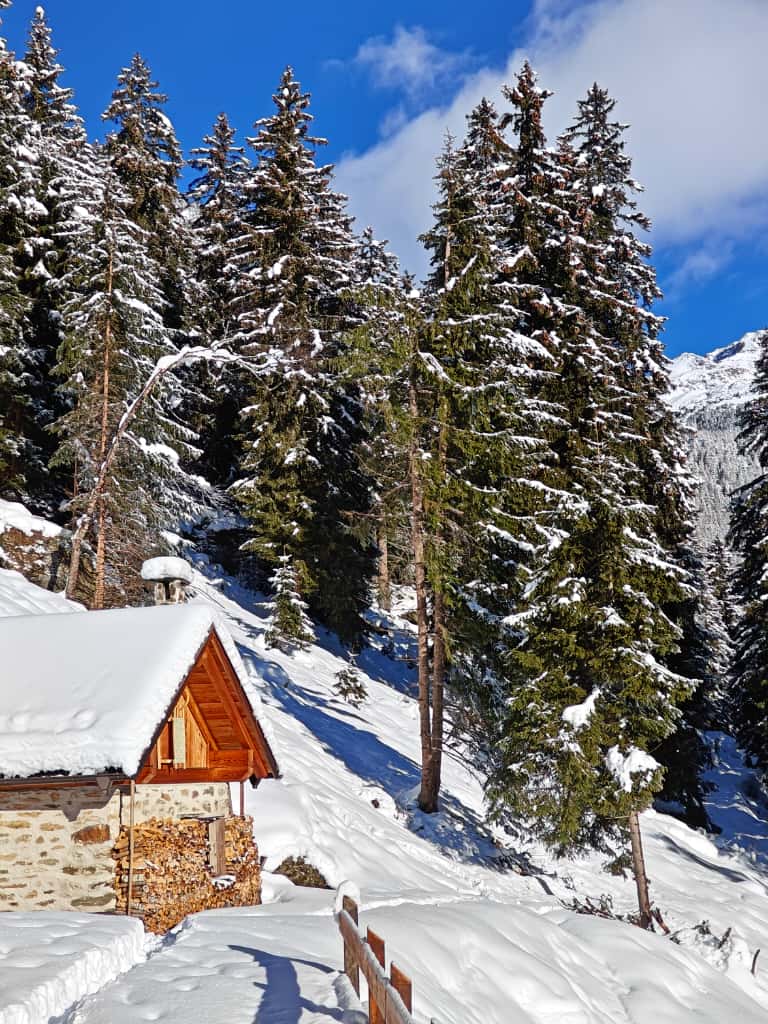 Passeggiate nella neve in Trentino Passeggiate nella neve in Trentino