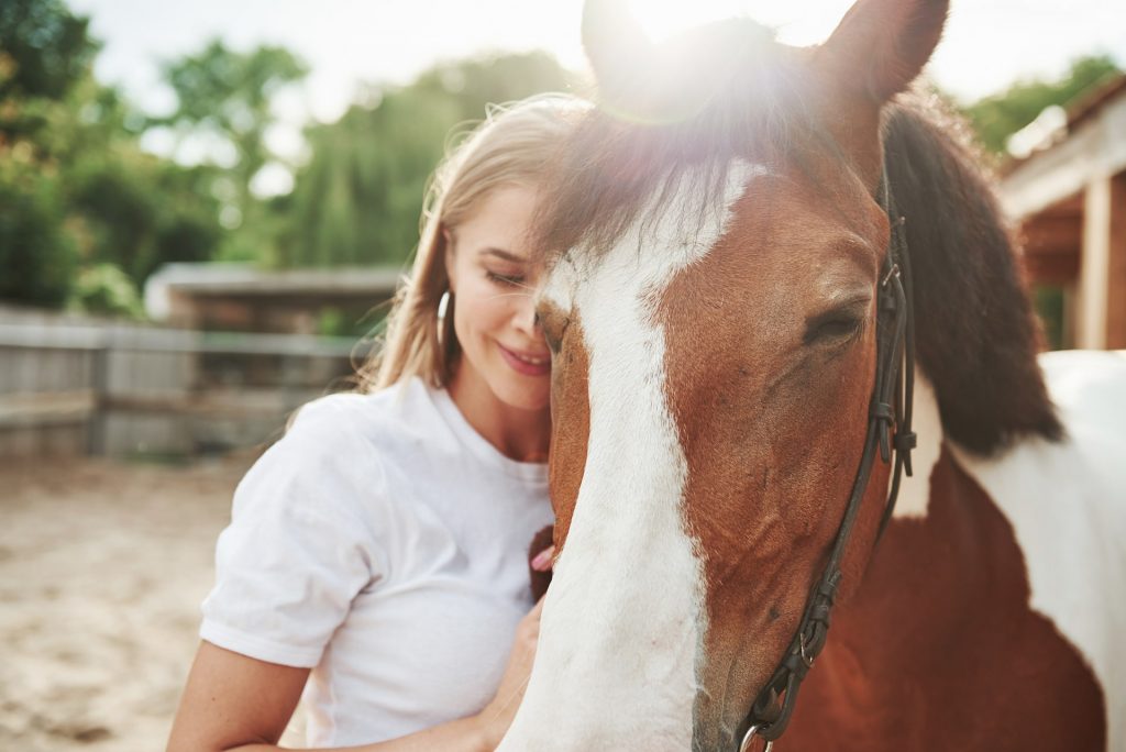 Escursioni A Cavallo Val Di Sole Trentino