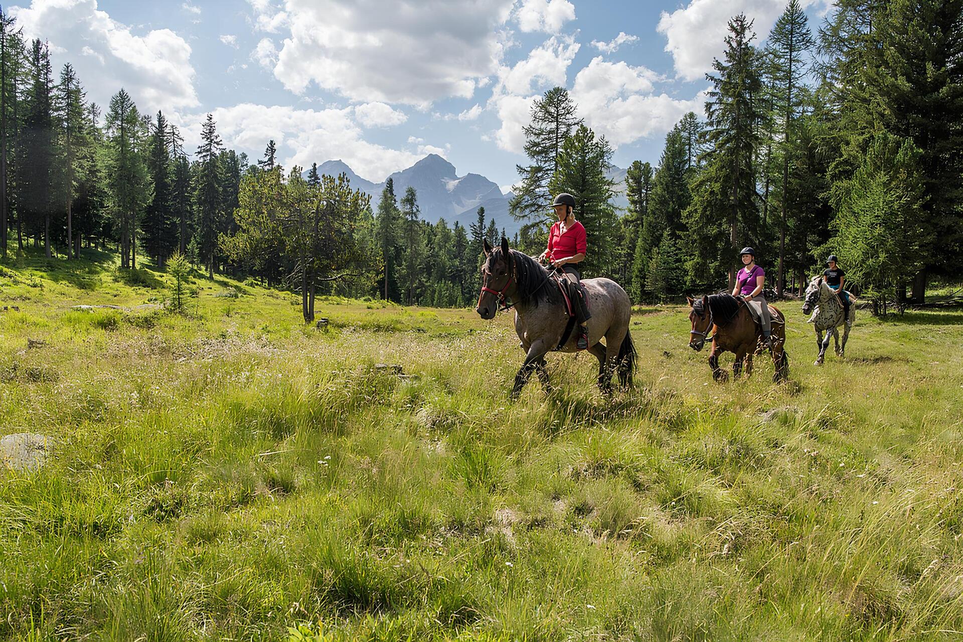 Avventura Cavallo Val Di Sole Trentino