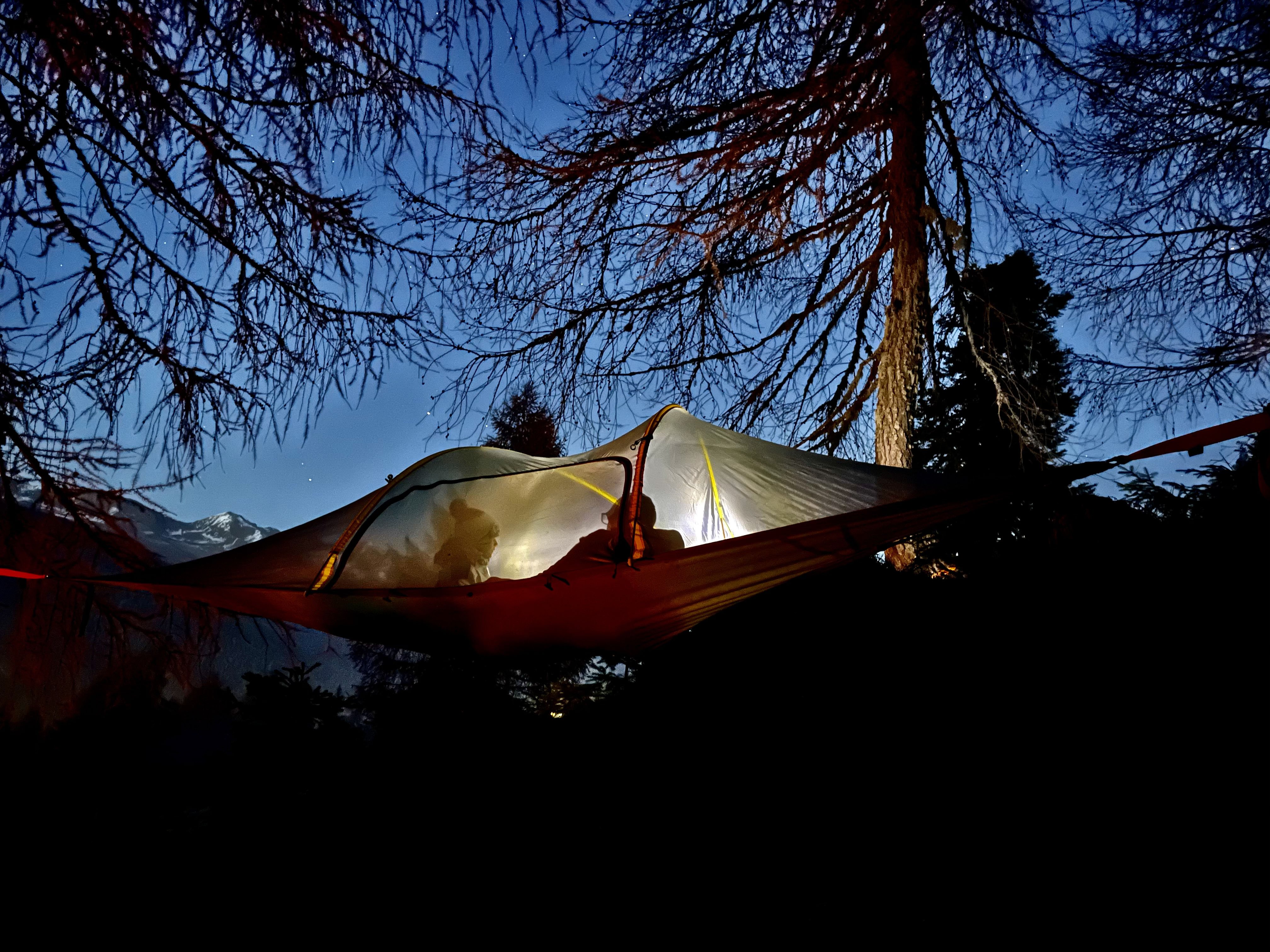 Forest Bathing Ursus Life Val Di Sole Trentino Bosco