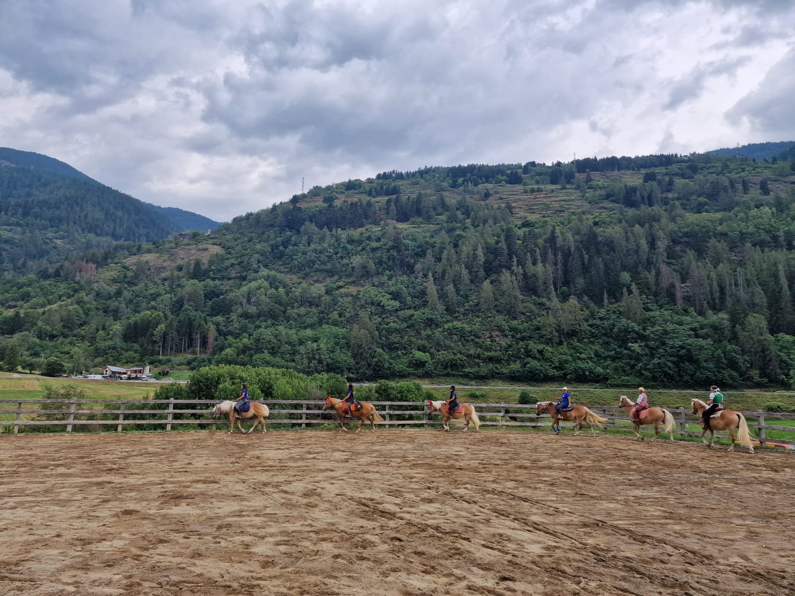 Passeggiata Cavallo Val Di Sole Trentino